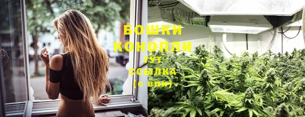 apvp Богородицк