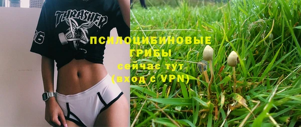 МДМА Богородск