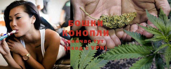 apvp Богородицк